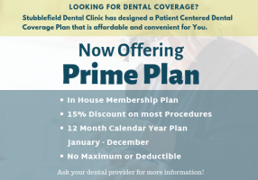 website prime plan (1)